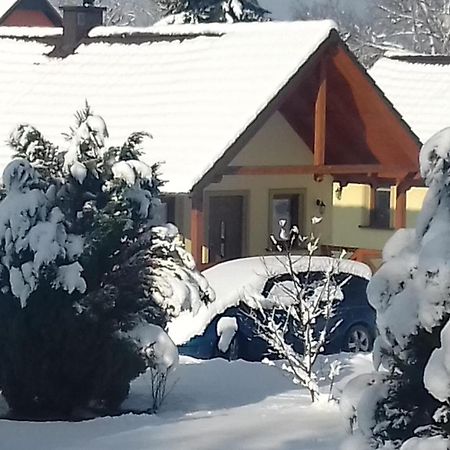 Villa Domki Biosen Podgórzyn Exterior foto